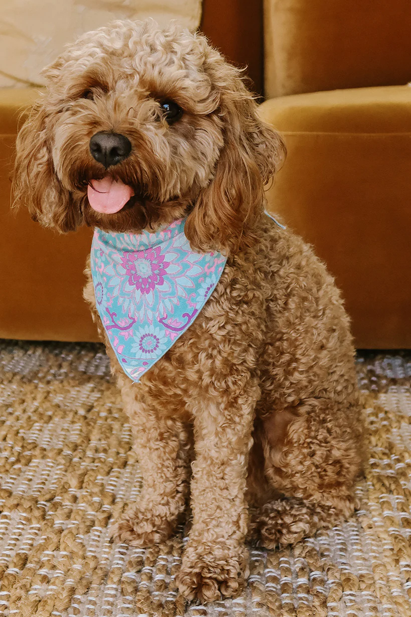 Lovers Beach Dog Bandana - Medium - Image 2