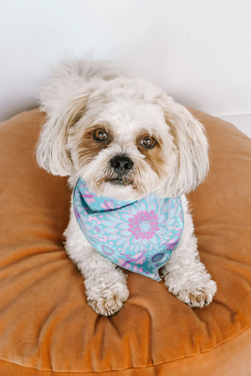 Lovers Beach Dog Bandana - Small - Image 2