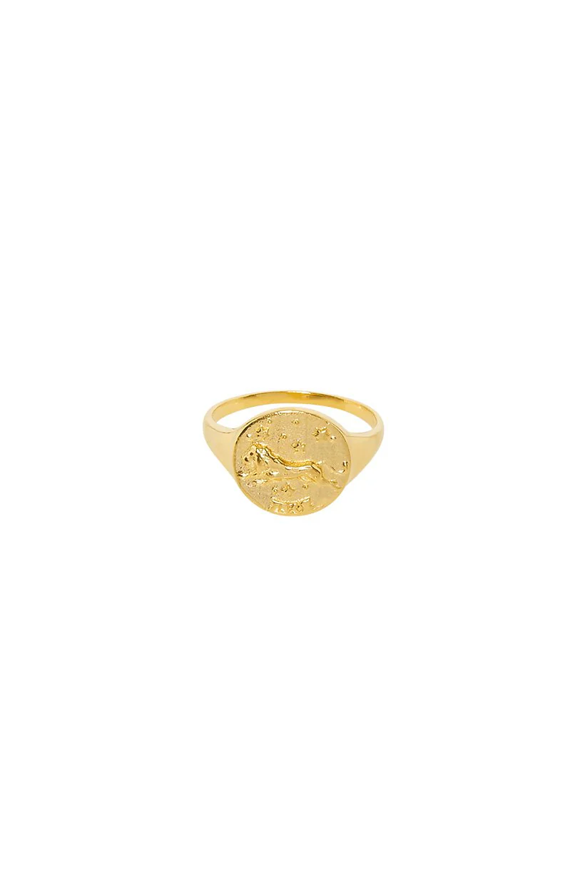 Leo Stargazer Zodiac Ring - Image 3