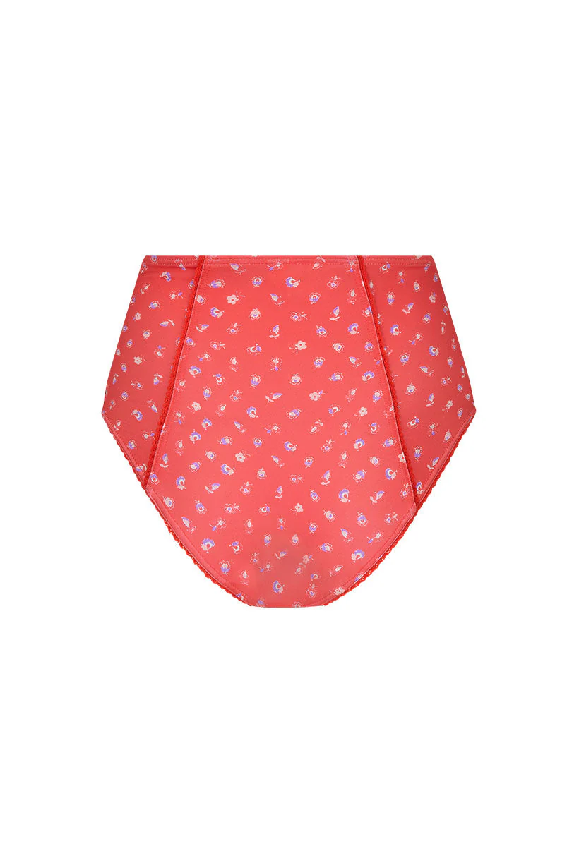 Sunshine Bandit High Waisted Brief - Image 5